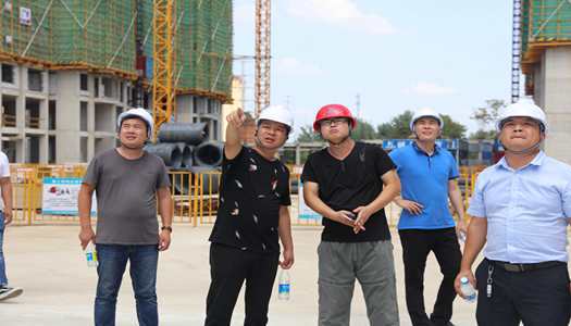 开云网页版董事会巡检圆满完成